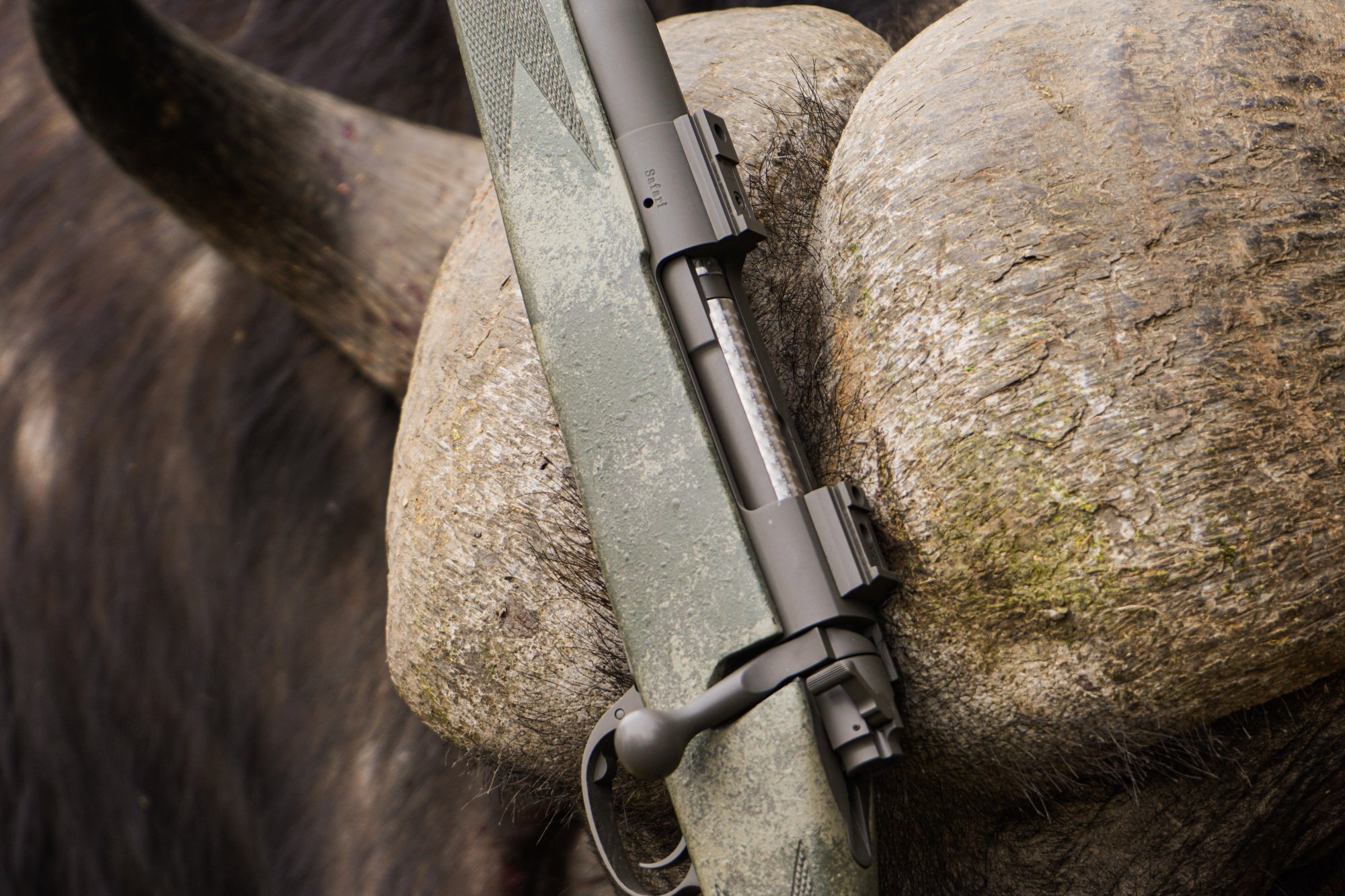Control feed rifle action resting on Cape buffalo — showing the bolt and extractor assembly